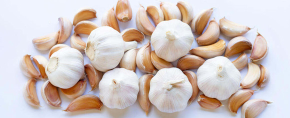 China: Garlic price is predicted to weaken