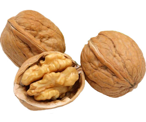 WALNUT